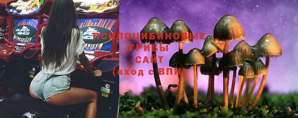 альфа пвп Беломорск